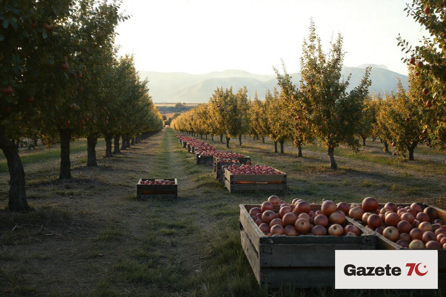 Aşı fiyatı açıklandı: 764 TL (üretici/dağıtıcı açıklamasına göre)